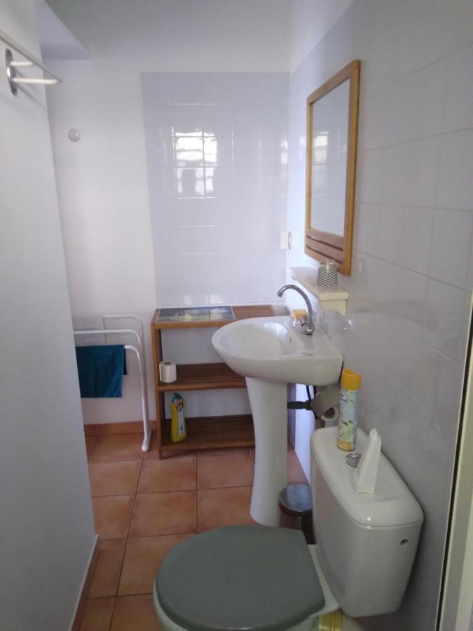 Studio Aux Avirons Pour 2 Personnes, Avec Piscine Les Avirons Esterno foto